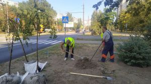 Запоріжжя: Район озеленюють на півтора  «екологічних» мільйона